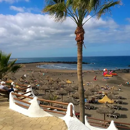 In Centre Of Las Americas Playa De Troya プラヤ・デ・ラス・アメリカス